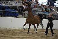 08r14-0777 proof