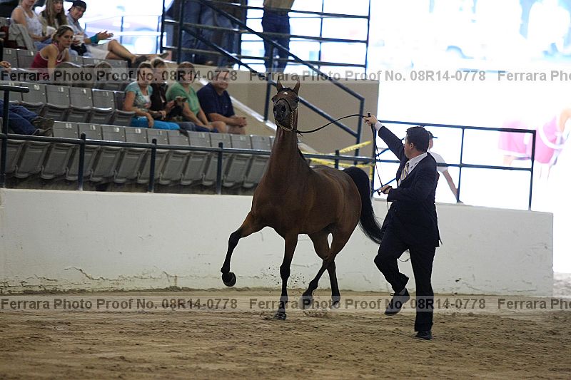 Proof 08r14-0778