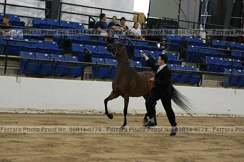 Proof 08r14-0779