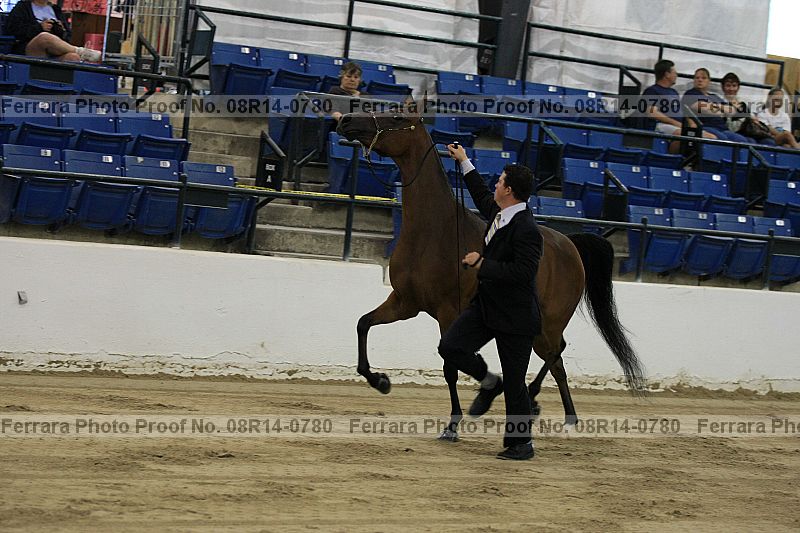Proof 08r14-0780