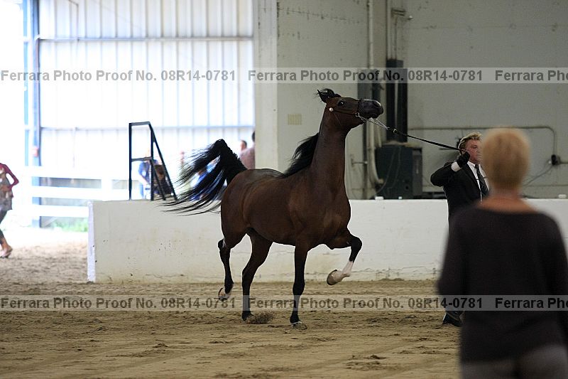 Proof 08r14-0781