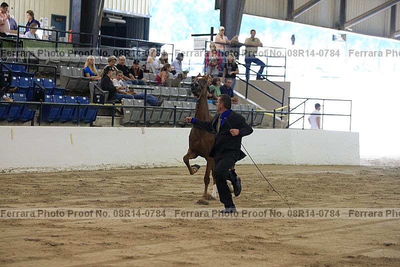 Proof 08r14-0784