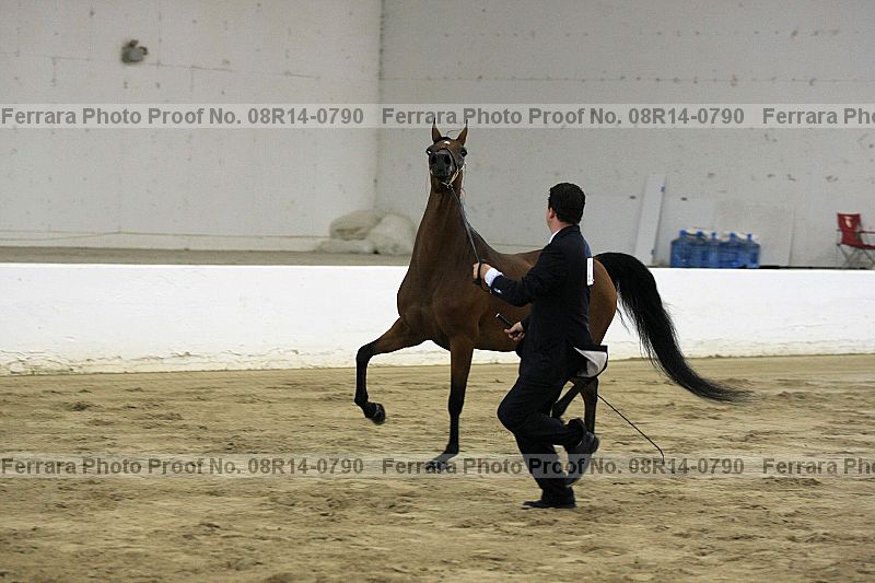 Proof 08r14-0790