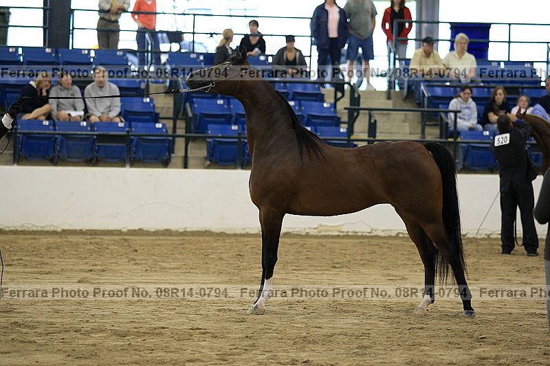 Proof 08r14-0794