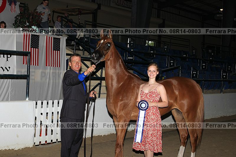 Proof 08r14-0803