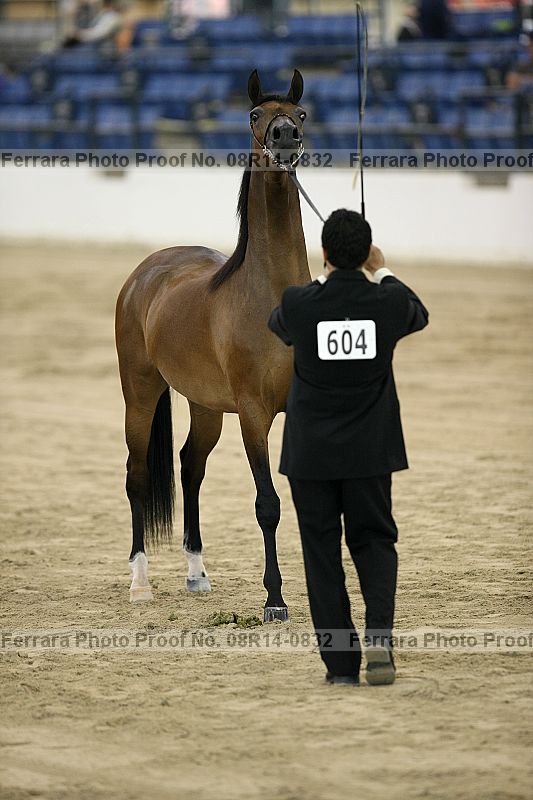 Proof 08r14-0832