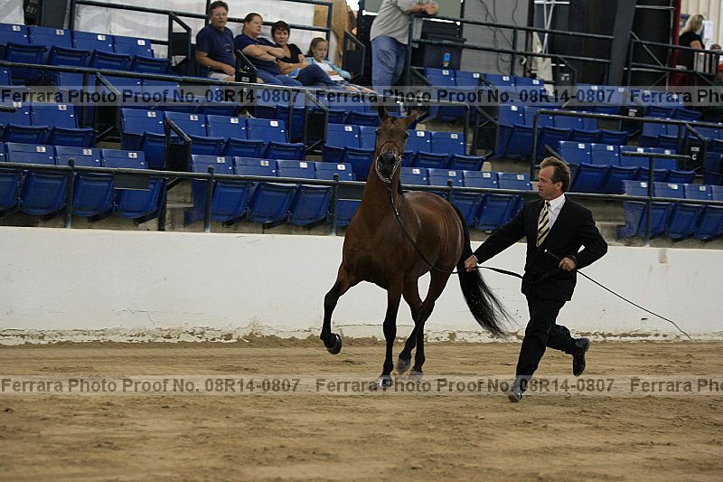 Proof 08r14-0807