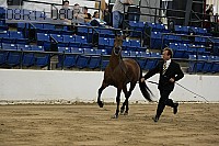 08r14-0807 proof