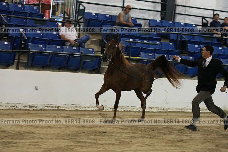 Proof 08r14-0808