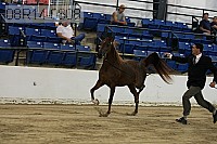 08r14-0808 proof