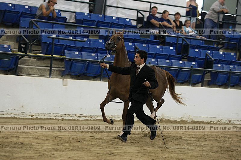 Proof 08r14-0809