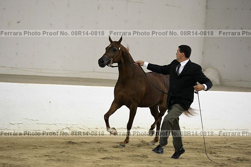 Proof 08r14-0818