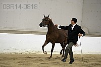 08r14-0818 proof