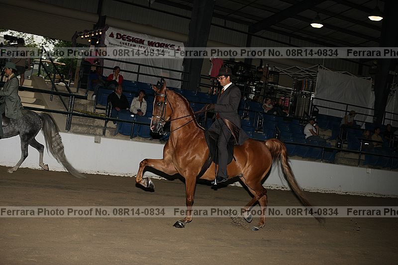 Proof 08r14-0834