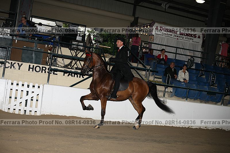 Proof 08r14-0836