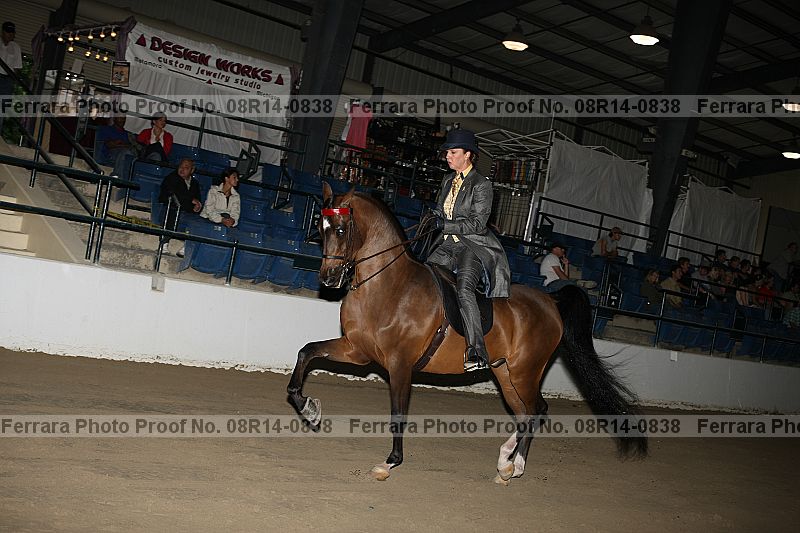 Proof 08r14-0838