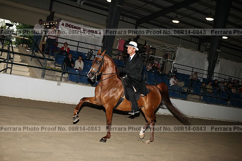 Proof 08r14-0843