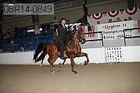 08r14-0849 proof