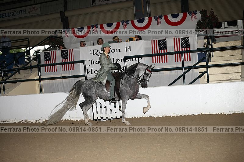 Proof 08r14-0851