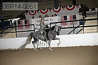 08r14-0851 proof