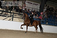 08r14-2608 proof