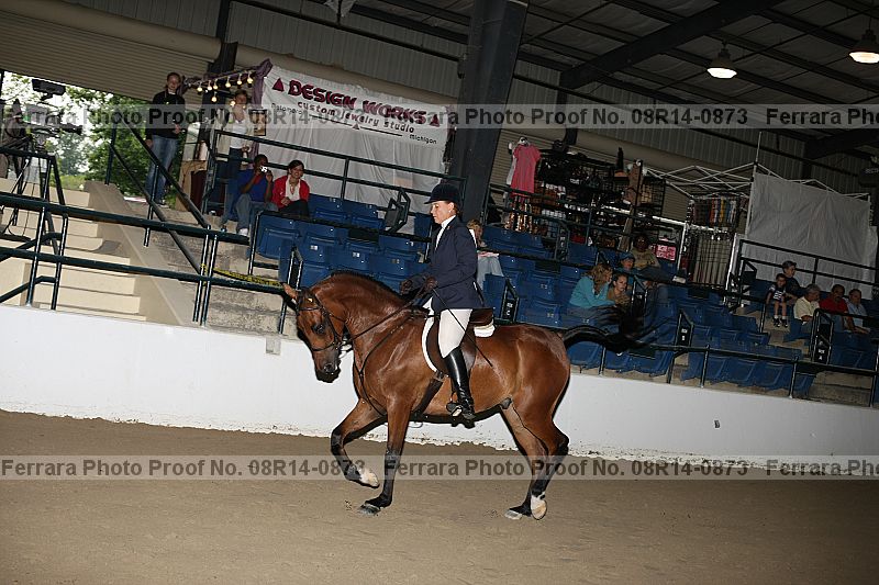 Proof 08r14-0873