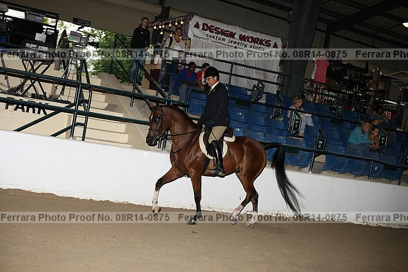 Proof 08r14-0875