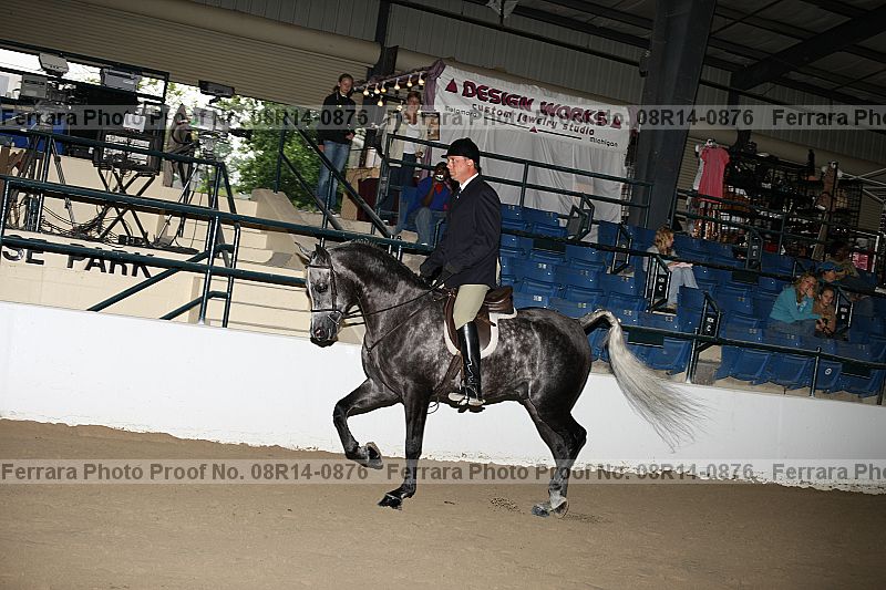 Proof 08r14-0876