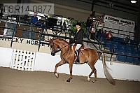 08r14-0877 proof