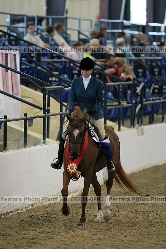 Proof 08r14-0893