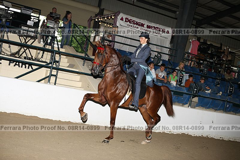 Proof 08r14-0899