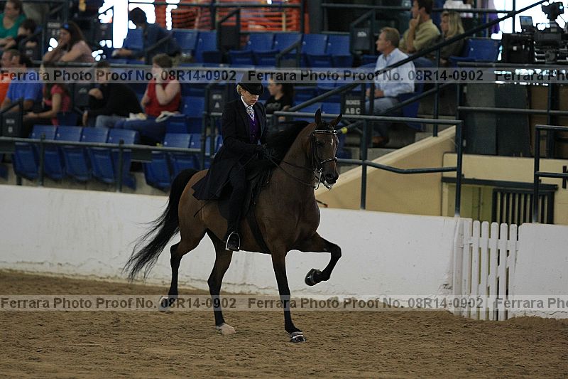 Proof 08r14-0902