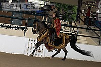 08r14-0956 proof