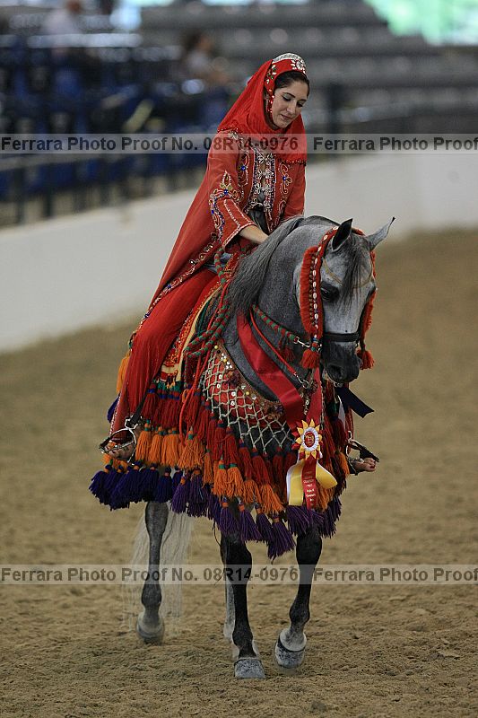 Proof 08r14-0976
