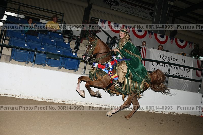 Proof 08r14-0993