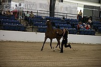 08r14-1071 proof