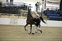 08r14-1072 proof