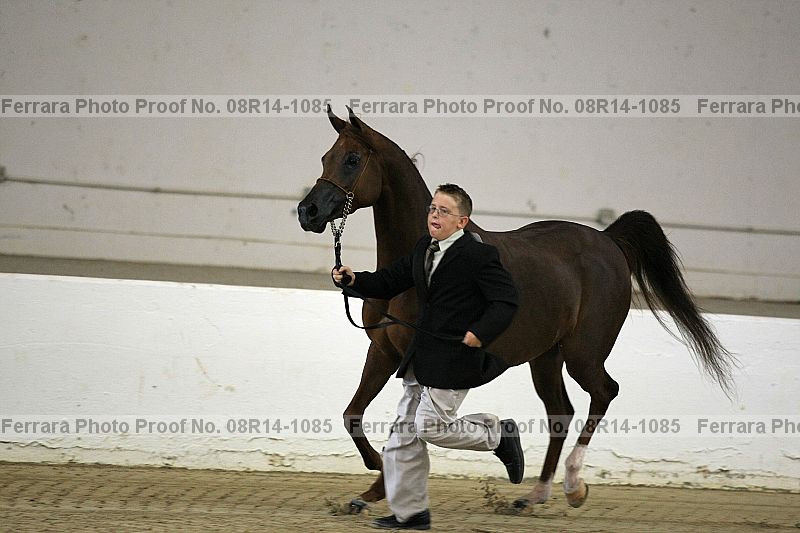Proof 08r14-1085