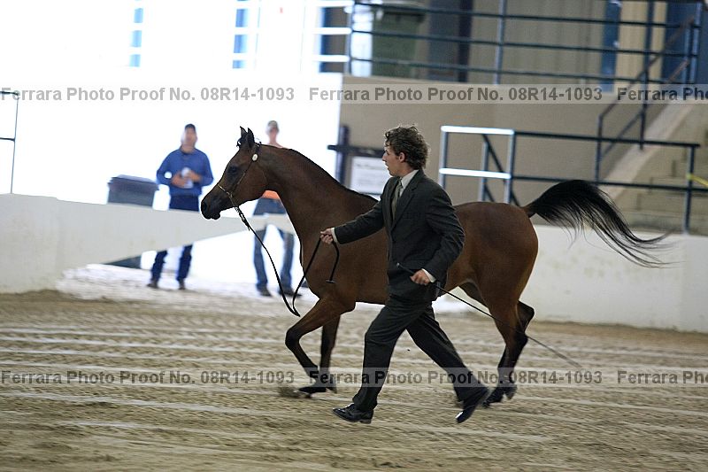 Proof 08r14-1093