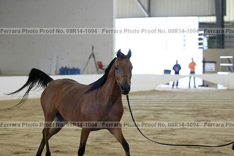Proof 08r14-1094