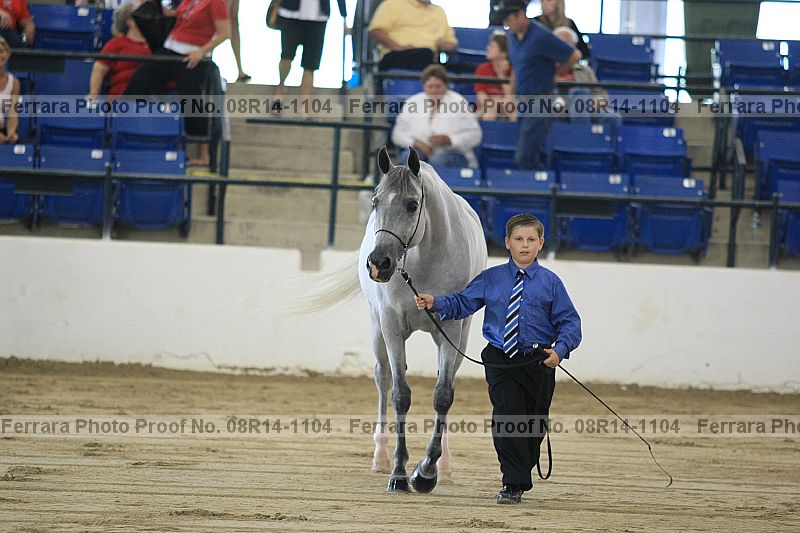 Proof 08r14-1104