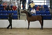 08r14-1112 proof