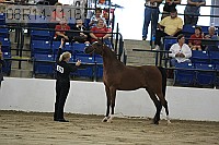 08r14-1116 proof
