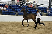 08r14-1139 proof