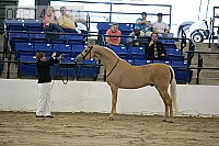 08r14-1144 proof