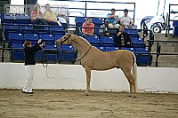 08r14-1146 proof