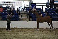 08r14-1153 proof