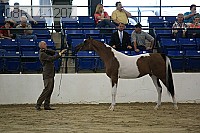 08r14-1207 proof