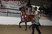 08r14-1216 proof