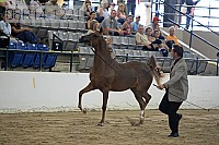 08r14-1221 proof